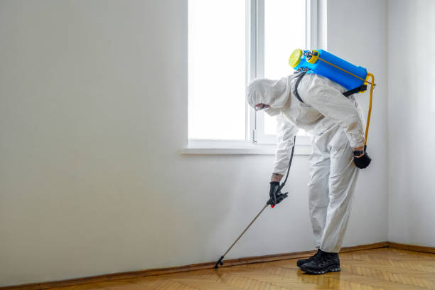 Best Organic or Eco-Friendly Pest Control  in Huron, OH